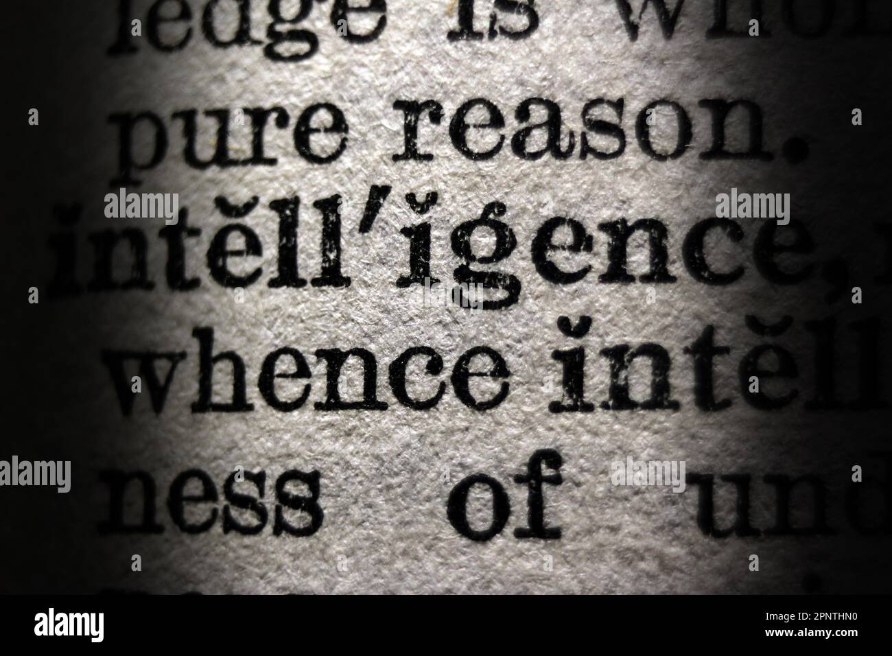 Definition of word intelligence on dictionary page, closeup Stock