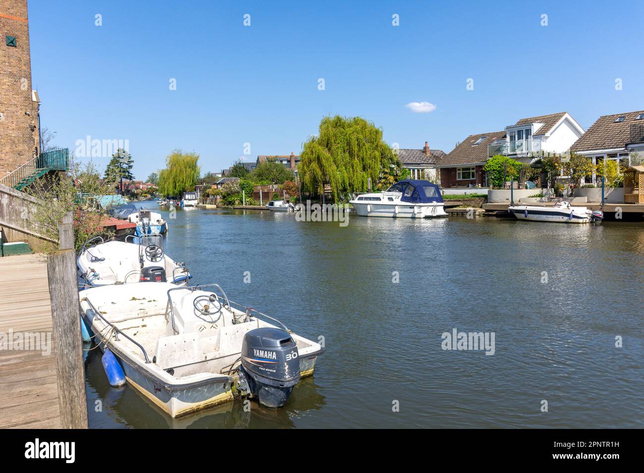 Thames Ditton Island across River Thames from Ye Olde Swan Pub, Summer Road, Thames Ditton, Surrey, England, United Kingdom Stock Photo