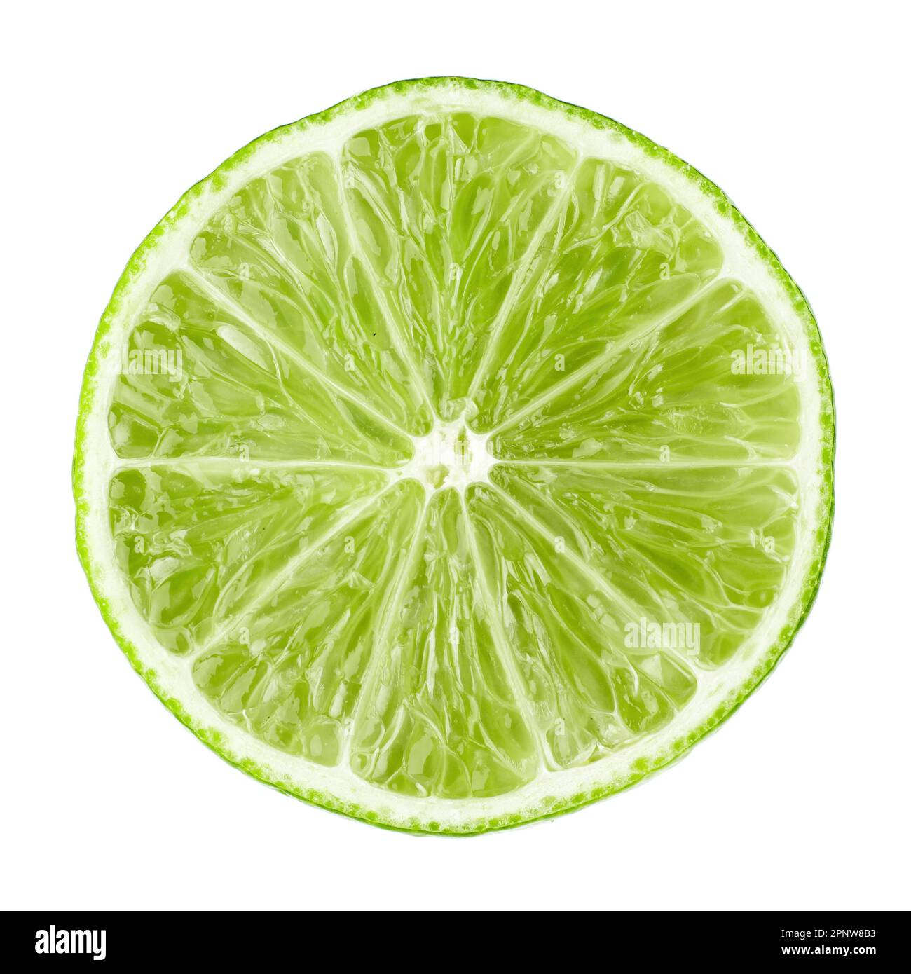 Slice of lime isolated on a white background. Stock Photo