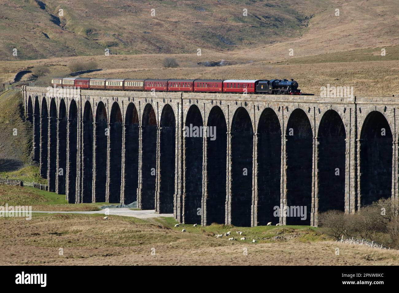 Jubilee class steam locomotive 45690 Leander, Ribblehead Viaduct, Settle to Carlisle line on 20th April 2023, day 6 of Great Britain XV rail tour. Stock Photo