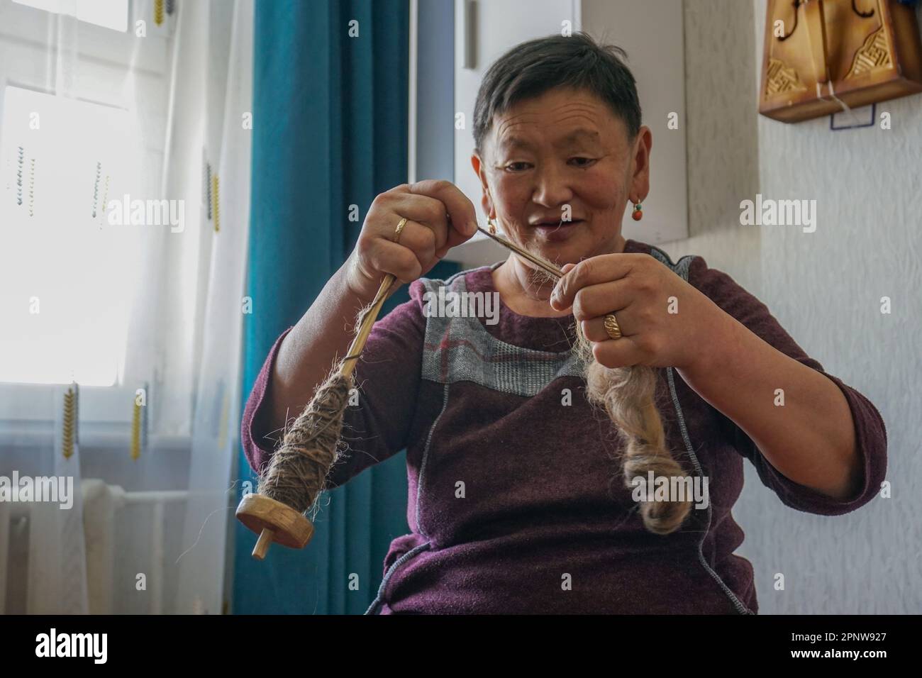 Jargal Khukhkhaltar spins camel wool into yarn in Erdenet, Orkhon province, Mongolia on April 23, 2022. The use of camel fiber, a traditional material since ancient times, has drastically decreased in Mongolia, Jargal says. “Now, there is hardly anybody who spins yarn like this.” (Khorloo Khukhnohoi/Global Press Journal) Stock Photo