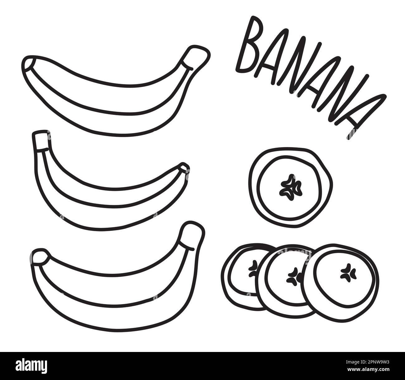 Banana drawing hand painted with ink brush isolated on white background