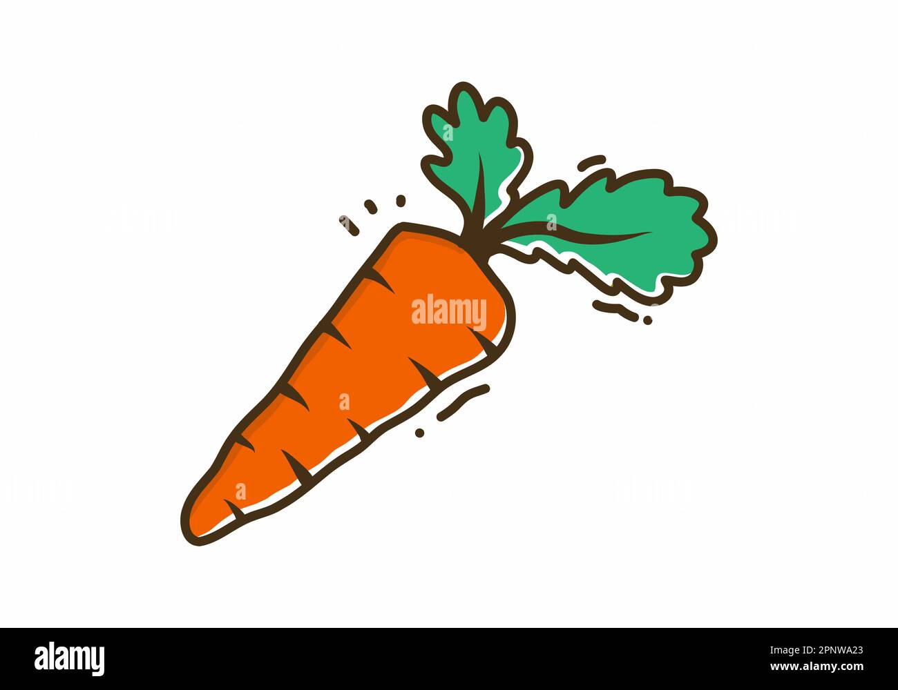 Illustration drawing of orange carrot vegetable Stock Vector Image