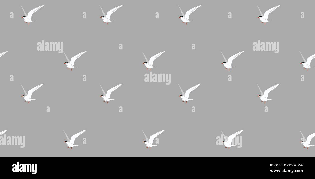 Vector seamless pattern with seagulls flying on gray background ...