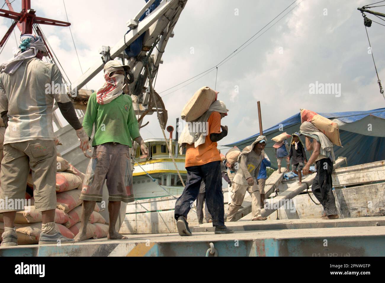 Workers are transporting cement sacks from a truck onto a phinisi ship