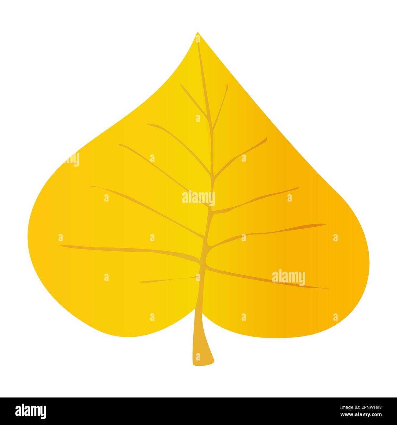 Yellow Leaf in realistic style. Autumn leaf. Colorful illustration