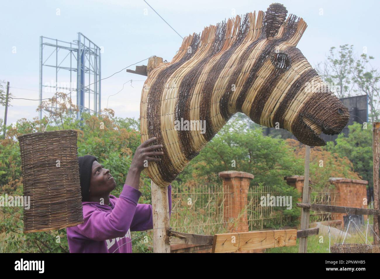 Berril Mwango, an artist, displays a zebra artwork along Thabo Mbeki Road in Lusaka, Zambia on November 20, 2021. “We had literally closed down on business during the peak of the coronavirus, but I used that time to think of new artistic work, and it is paying off,” Mwango says. “Now, we have business, and our artwork is selling like never before.” (Prudence Phiri/Global Press Journal) Stock Photo