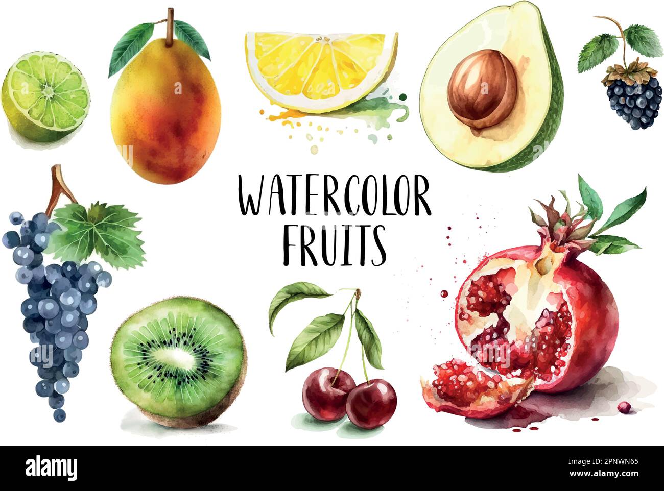 Watercolor painted collection of fruits. Hand drawn fresh food design ...