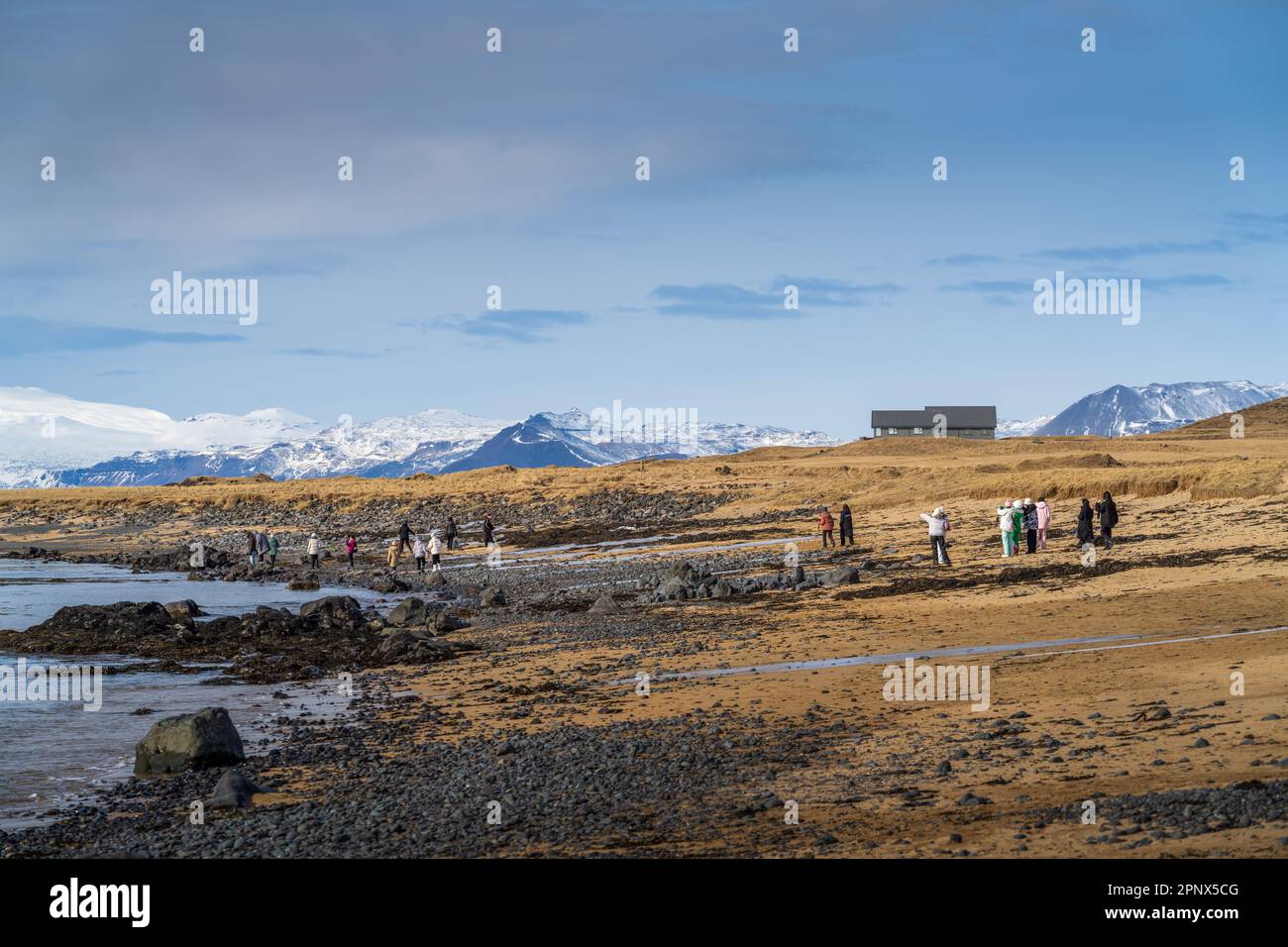 Ytri Tunga Beach, Snæfellsnes Peninsula, Iceland Tourists search the