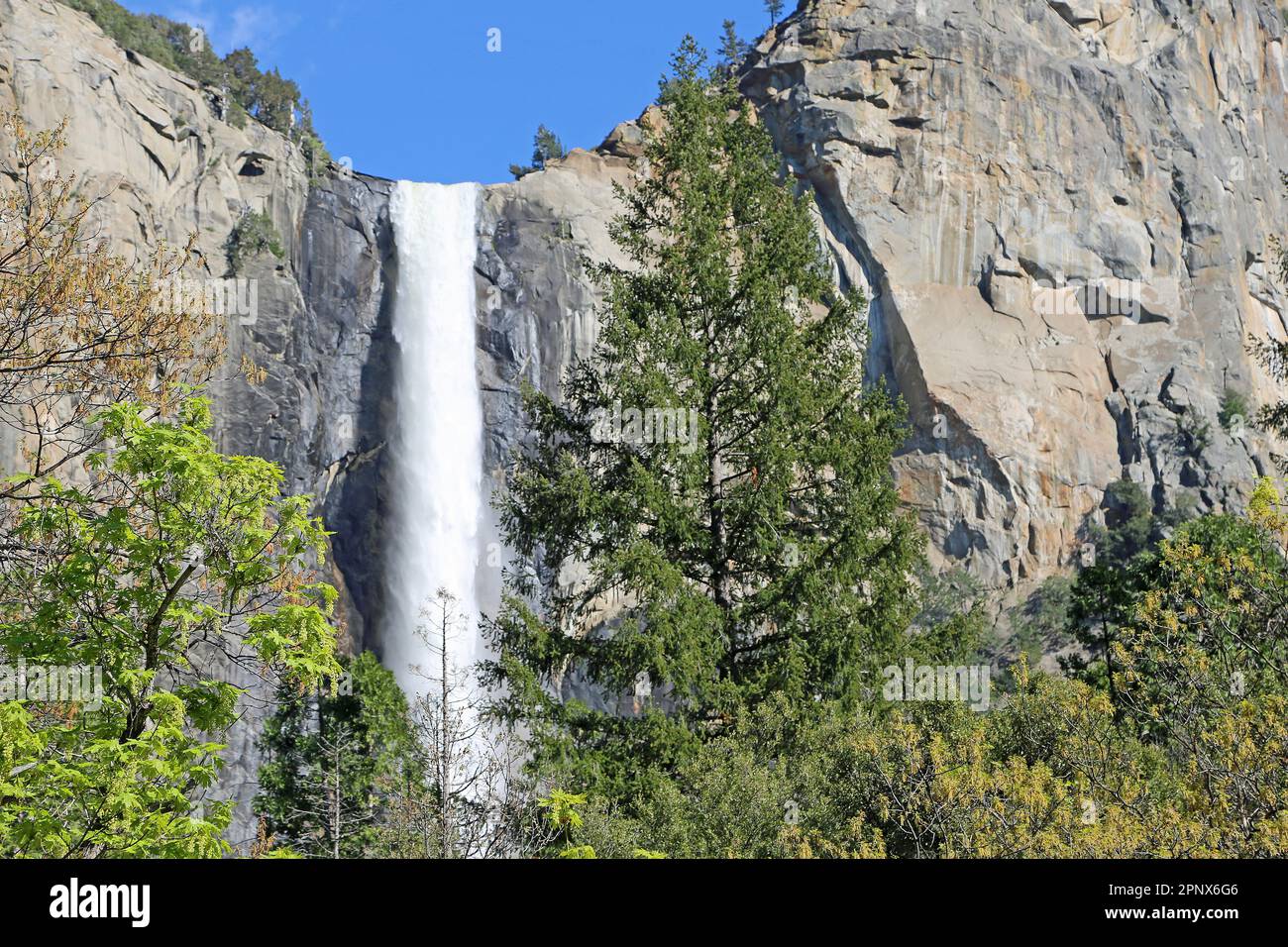 Trees Bridalveil Fall Yosemite National Hi res Stock Photography And trees-bridalveil-fall-yosemite-national-hi-res-stock-photography-and