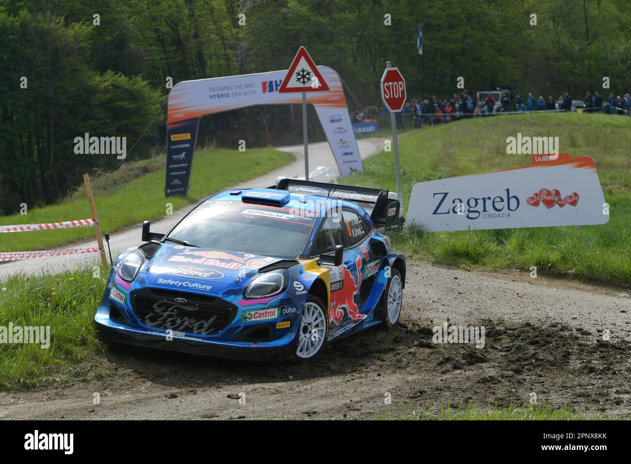 Ford puma rally1 hi-res stock photography and images - Alamy