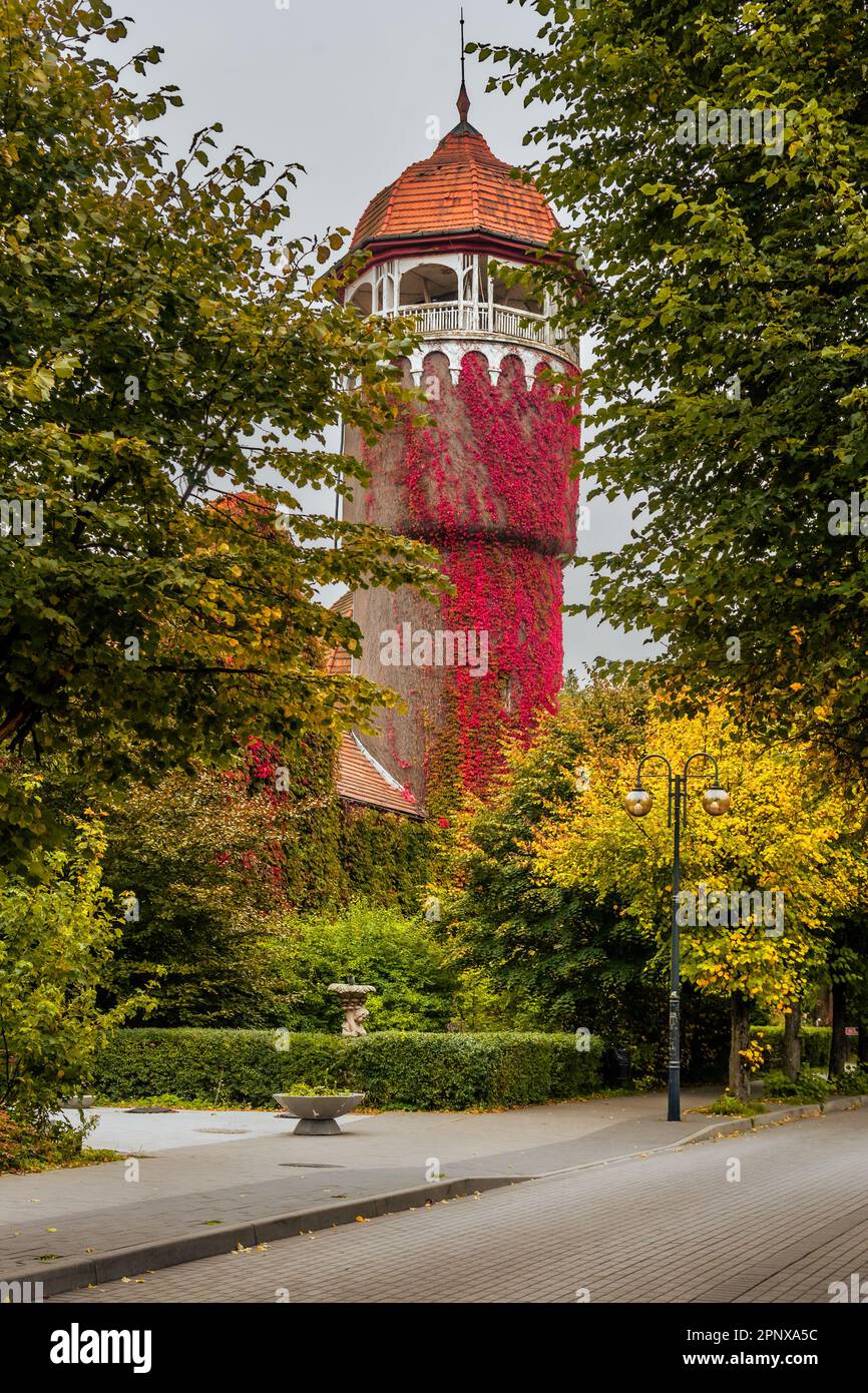 Koliin Rda Old water tower, one of the symbols of the city Svetlogorsk at autumn ...
