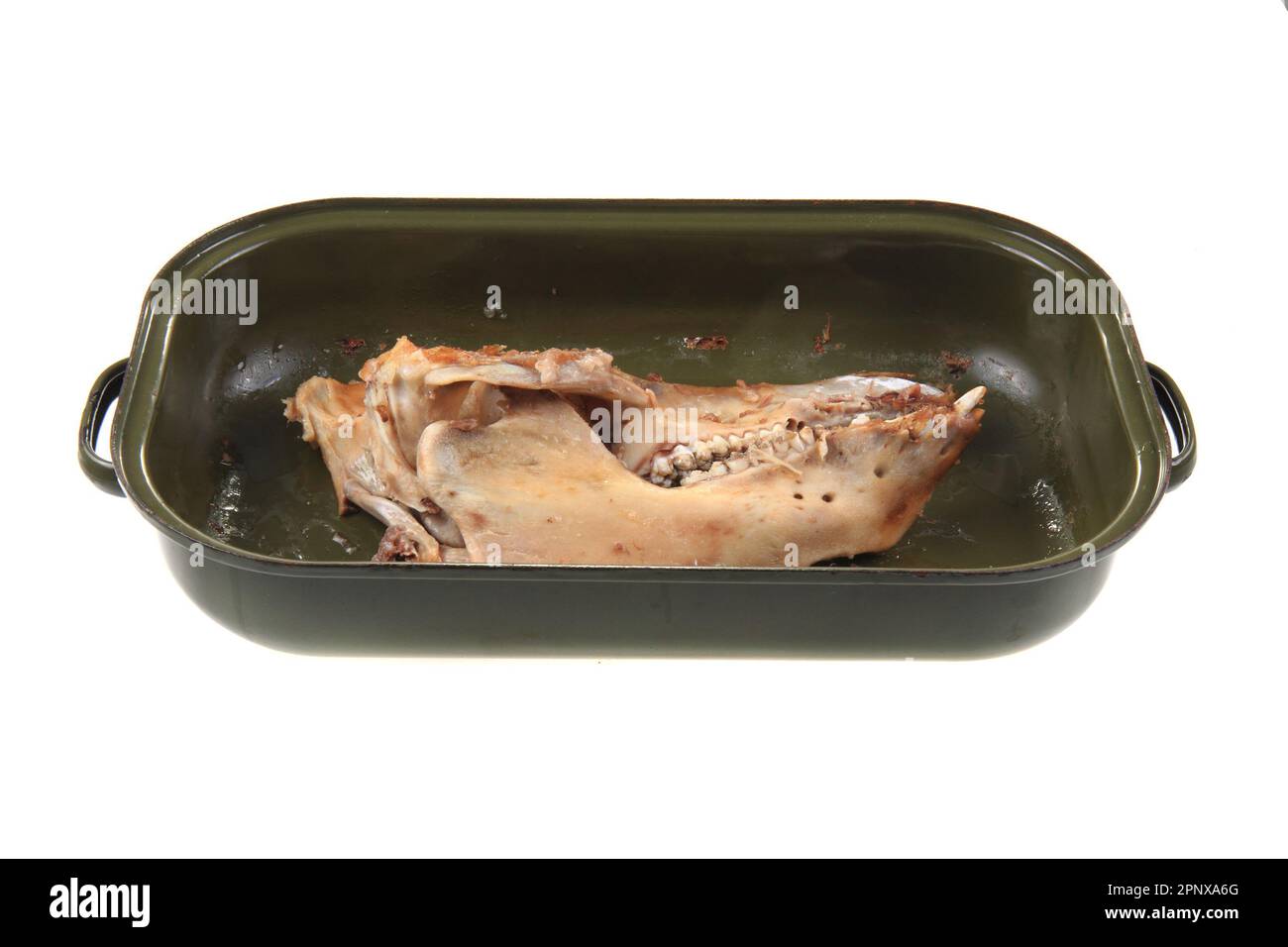 skull bone from roasted pig head isolated on the white background Stock ...