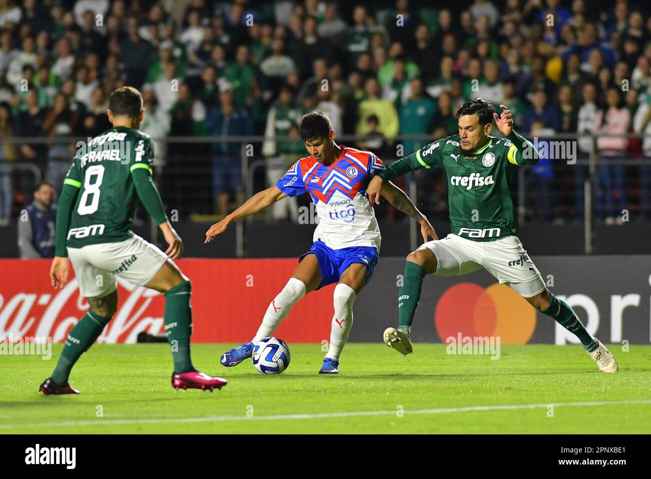SAO PAULO,BRAZIL - APRIL 20: Gustavo Gomes during the match between Palmeiras and Cerro Porteño as part of Group C of The Conmebol Libertadores 2023 at Morumbi Stadium on April 20, 2023, in São Paulo, Brazil. (Photo by Leandro Bernardes/PxImages) Stock Photo