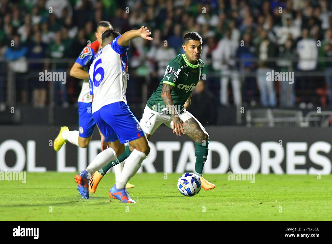 SAO PAULO,BRAZIL - APRIL 20: Dudu drives the ball during the match between Palmeiras and Cerro Porteño as part of Group C of The Conmebol Libertadores 2023 at Morumbi Stadium on April 20, 2023, in São Paulo, Brazil. (Photo by Leandro Bernardes/PxImages) Stock Photo