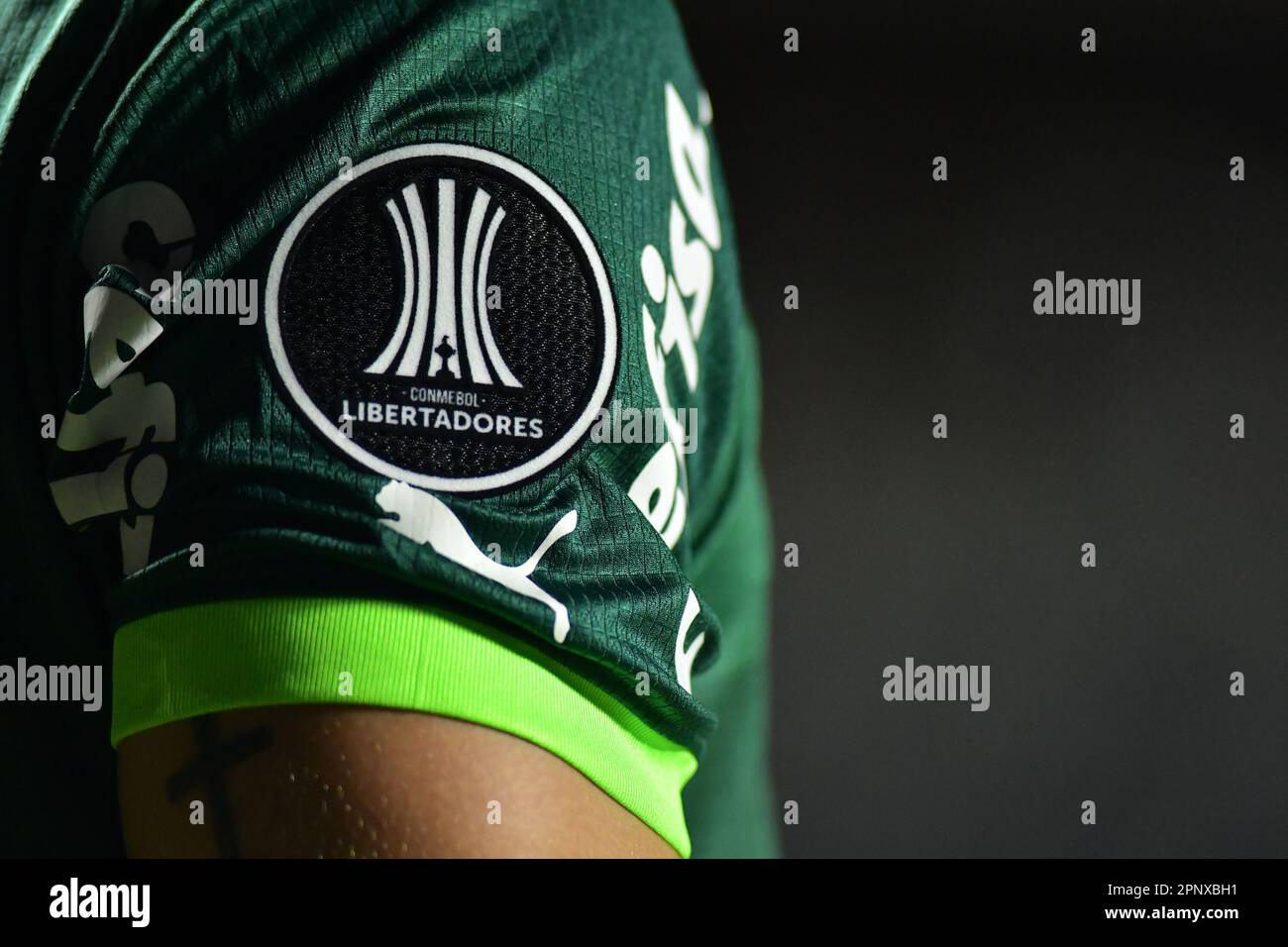 SAO PAULO,BRAZIL - APRIL 20: Detail’s Jersey of Palmeiras match between Palmeiras and Cerro Porteño as part of Group C of The Conmebol Libertadores 2023 at Morumbi Stadium on April 20, 2023, in São Paulo, Brazil. (Photo by Leandro Bernardes/PxImages) Stock Photo