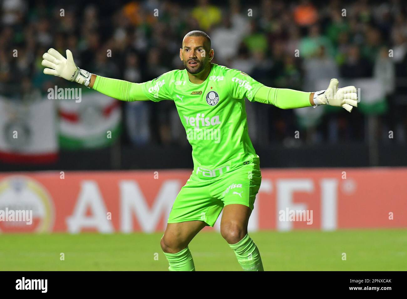 April 20, 2023, SÃ£o Paulo, Sao Paulo, Brazil, Brazil: SAO PAULO, BRAZIL - APRIL 20: Weverton during the match between Palmeiras and Cerro PorteÃ±o as part of Group C of The Conmebol Libertadores 2023 at Morumbi Stadium on April 20, 2023, in SÃ£o Paulo, Brazil. (Credit Image: © Leandro Bernardes/PX Imagens via ZUMA Press Wire) EDITORIAL USAGE ONLY! Not for Commercial USAGE! Stock Photo