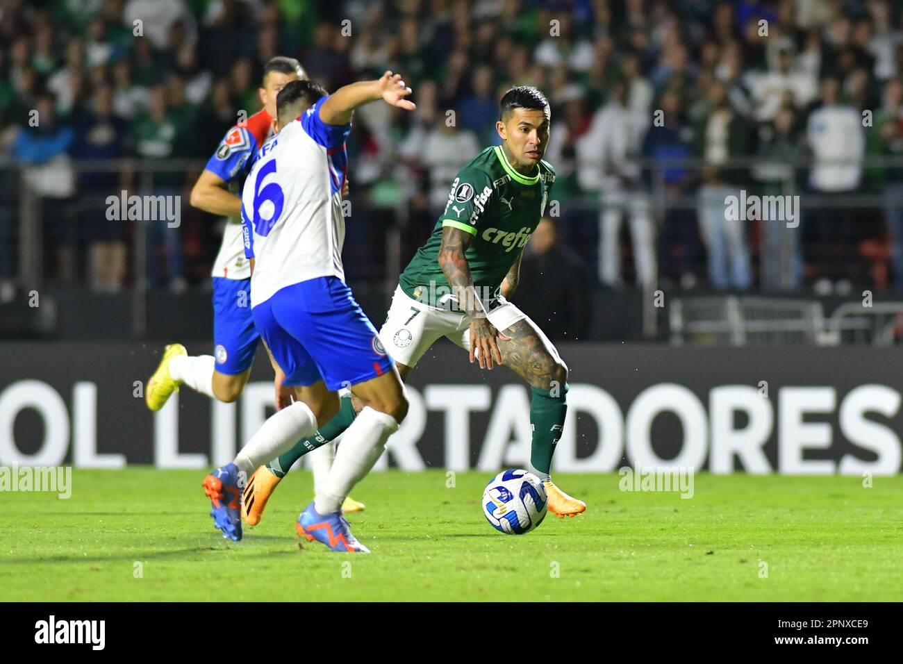 April 20, 2023, SÃ£o Paulo, Sao Paulo, Brazil, Brazil: SAO PAULO, BRAZIL - APRIL 20: Dudu drives the ball during the match between Palmeiras and Cerro PorteÃ±o as part of Group C of The Conmebol Libertadores 2023 at Morumbi Stadium on April 20, 2023, in SÃ£o Paulo, Brazil. (Credit Image: © Leandro Bernardes/PX Imagens via ZUMA Press Wire) EDITORIAL USAGE ONLY! Not for Commercial USAGE! Stock Photo