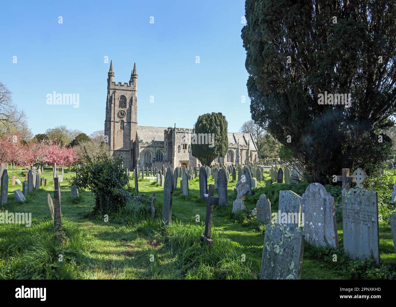 The south face of the Parish Church of St Mary in Plympton. seen over foreground graves in the historic blossom with pinl blossom on trees. Stock Photo