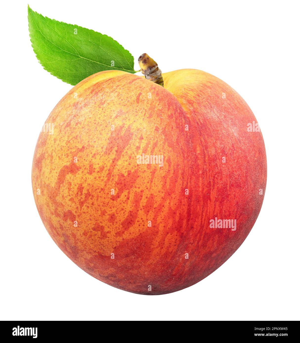 Isolated peach. Whole single peach fruit with leaf isolated on white