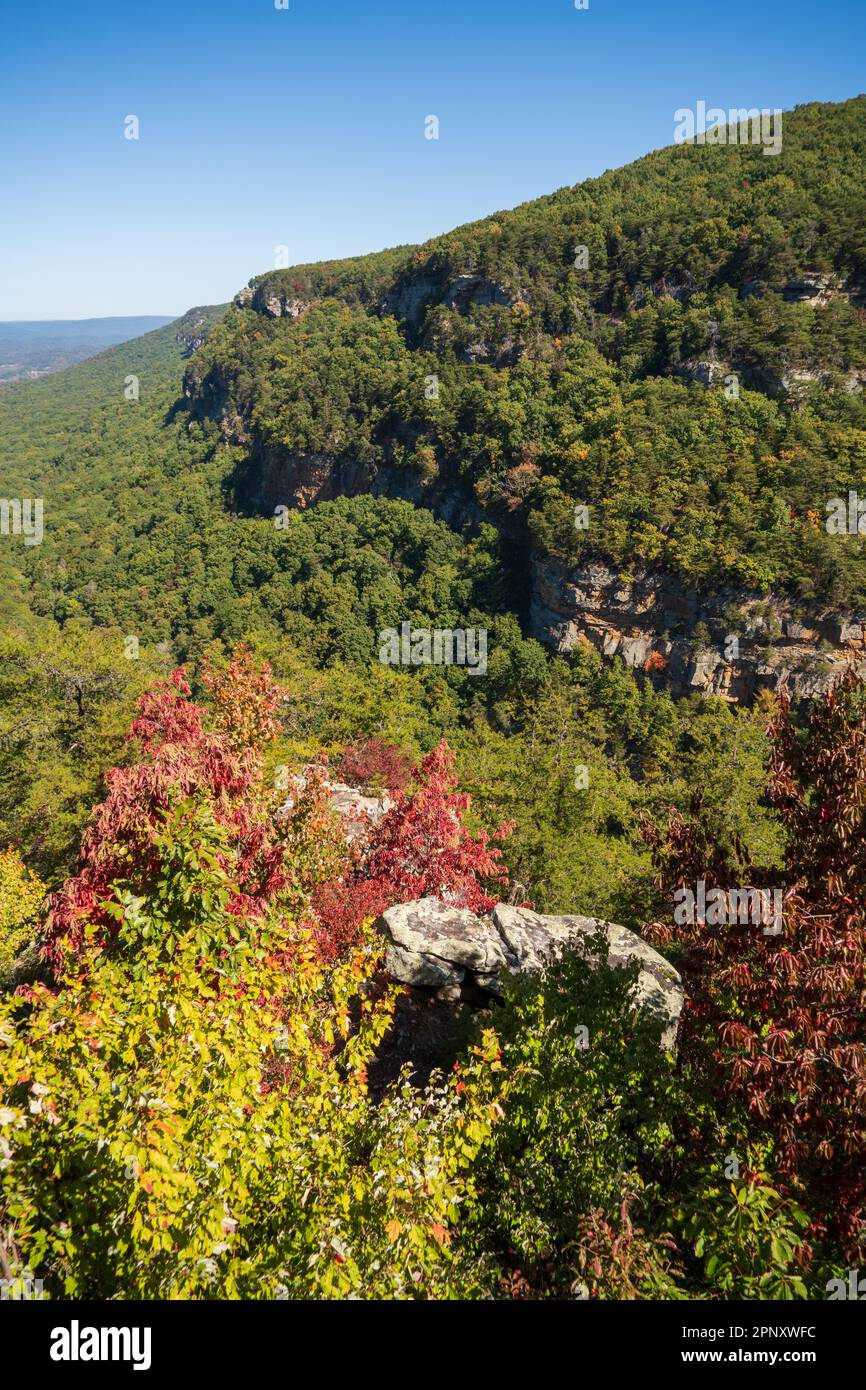 Cloudland Canyon State Park in Rising Fawn, Stock Photo Alamy