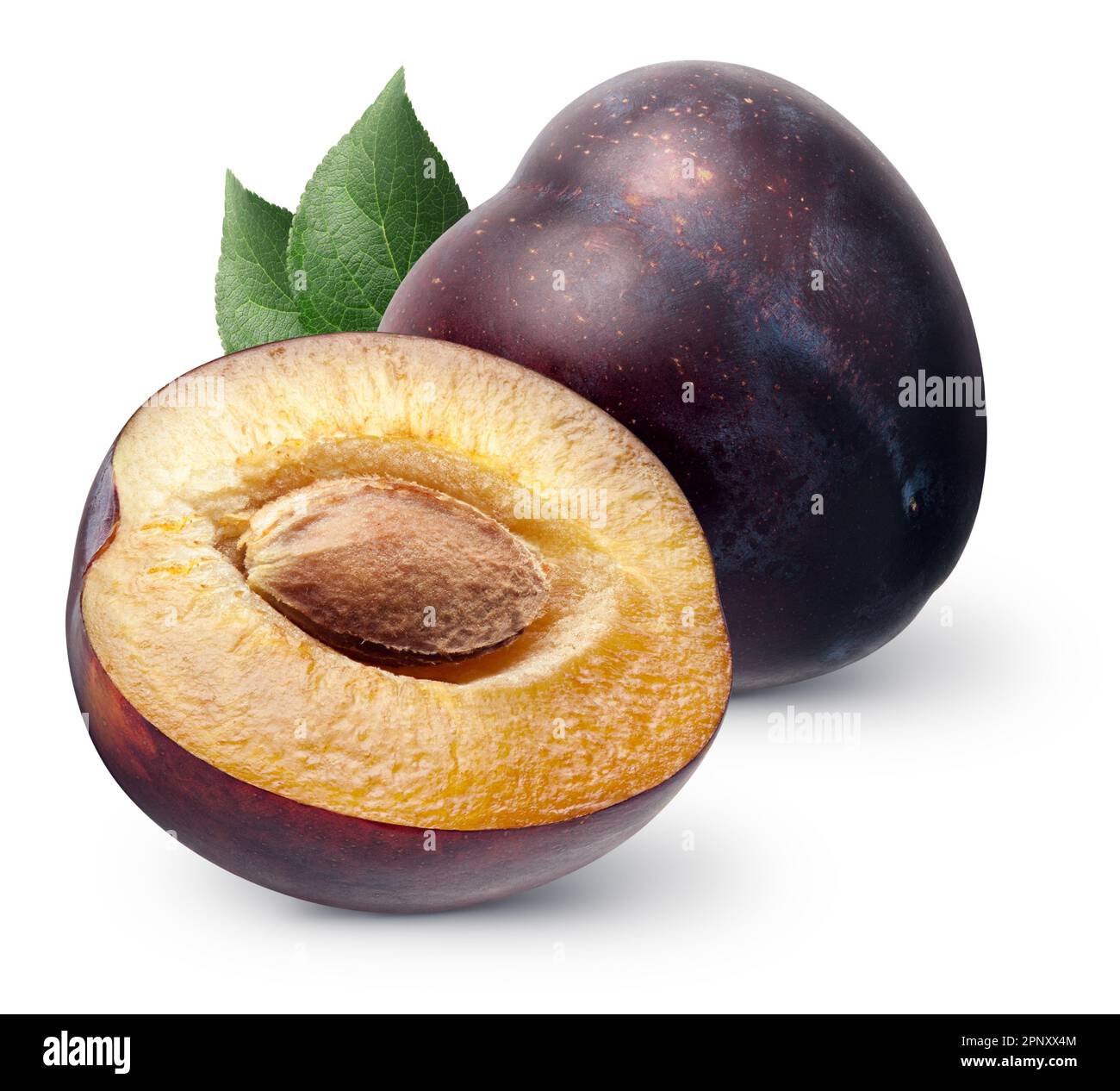 Isolated plums. One whole and a half of blue plum fruit with leaves isolated on white background, with clipping path Stock Photo