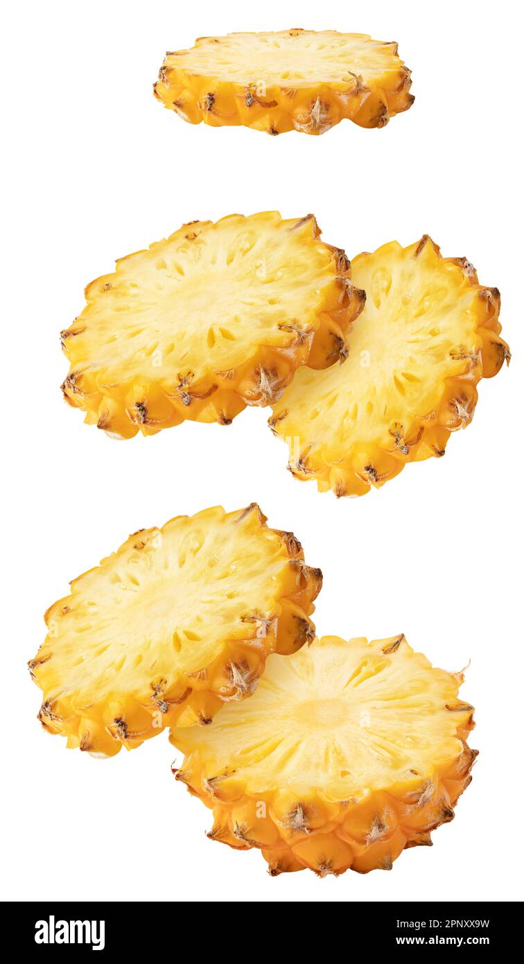 Isolated flying pineapple. Falling sliced ananas fruit isolated on