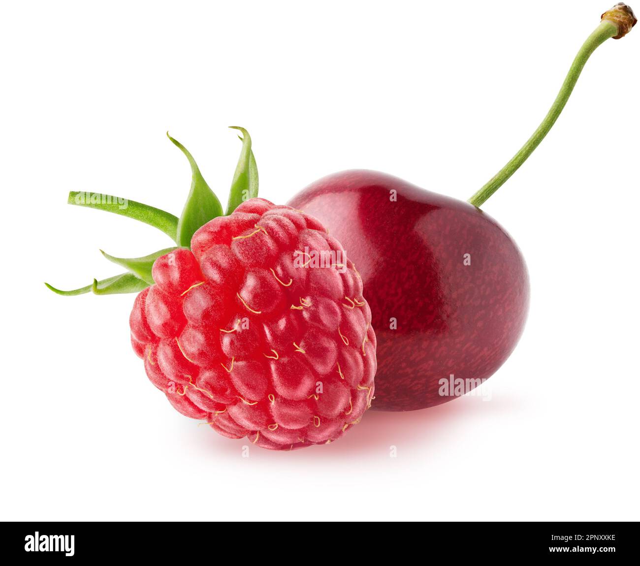 Cherry Vs Raspberry Size Isolated berries. Raspberry and cherry fruits with leaves isolated on ...