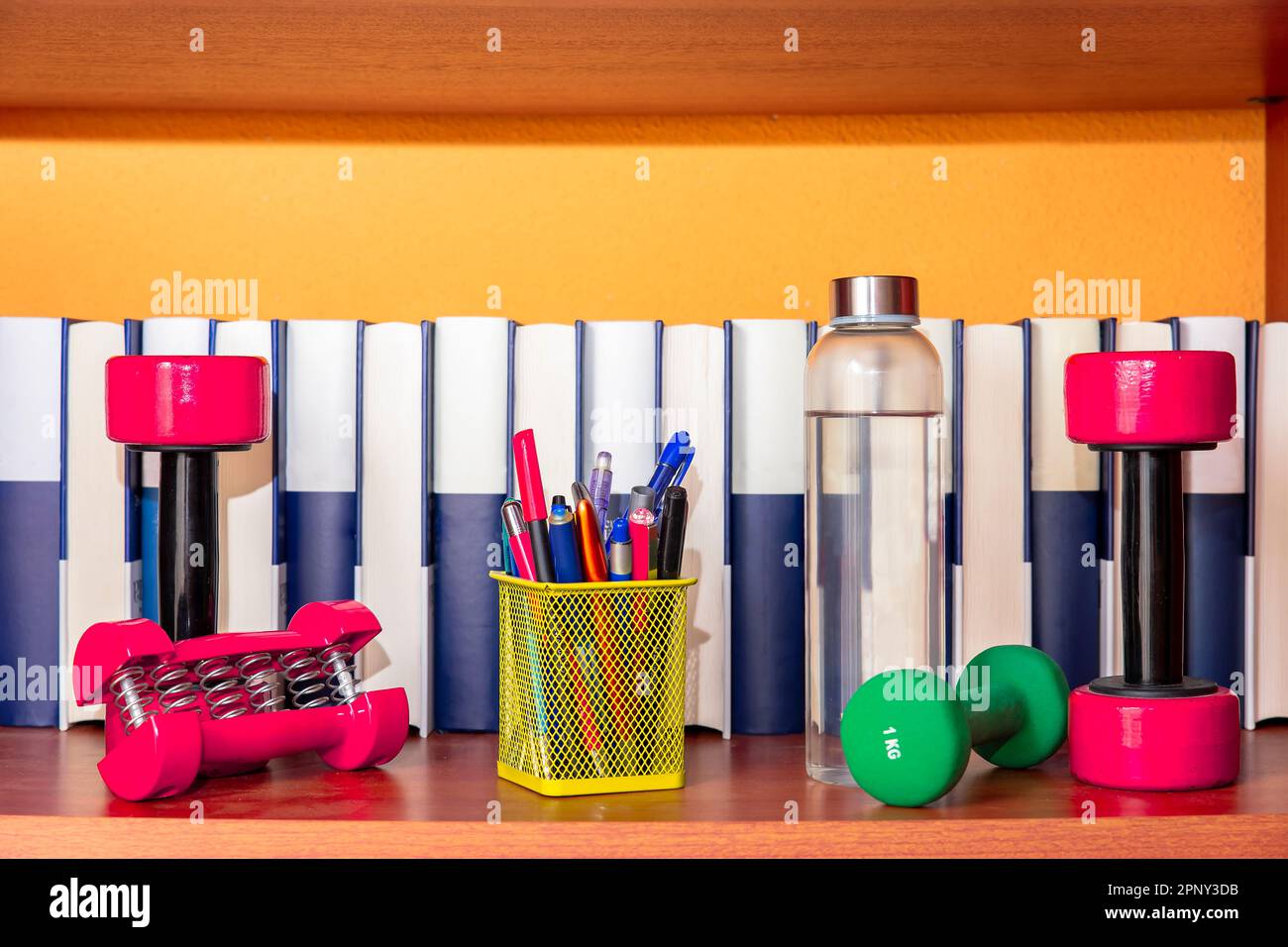 books and dumbbells on wooden shelf. education concept Stock Photo