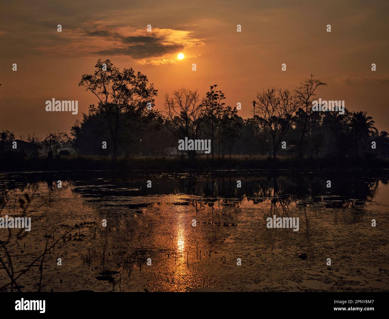 The Golden light.Golden sky in THAILAND countryside background Stock