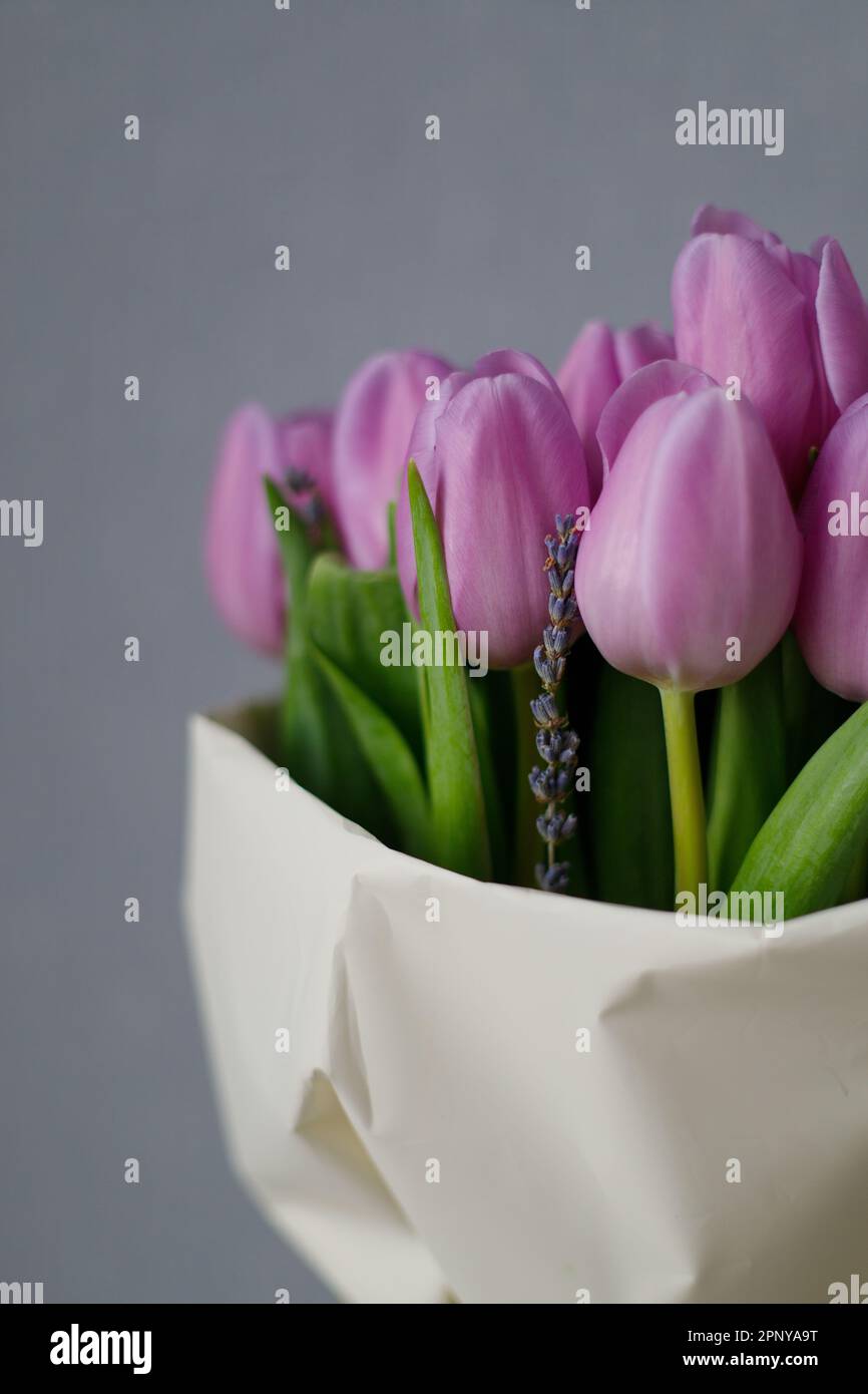 Happy womens day purple hi-res stock photography and images - Alamy