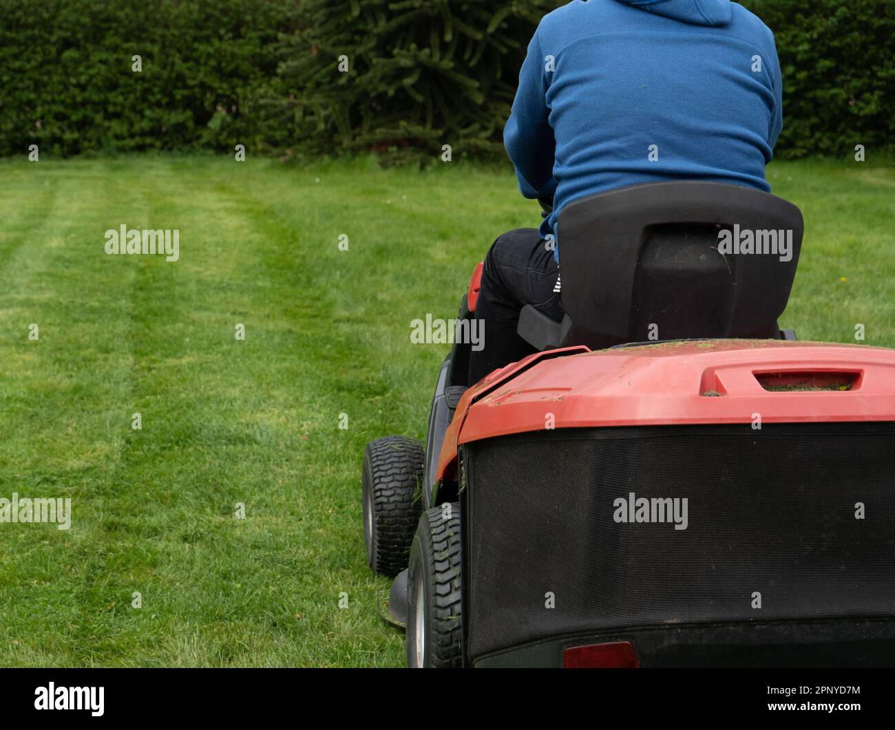 A man mows the lawn with a ride on mower. Stock Photo