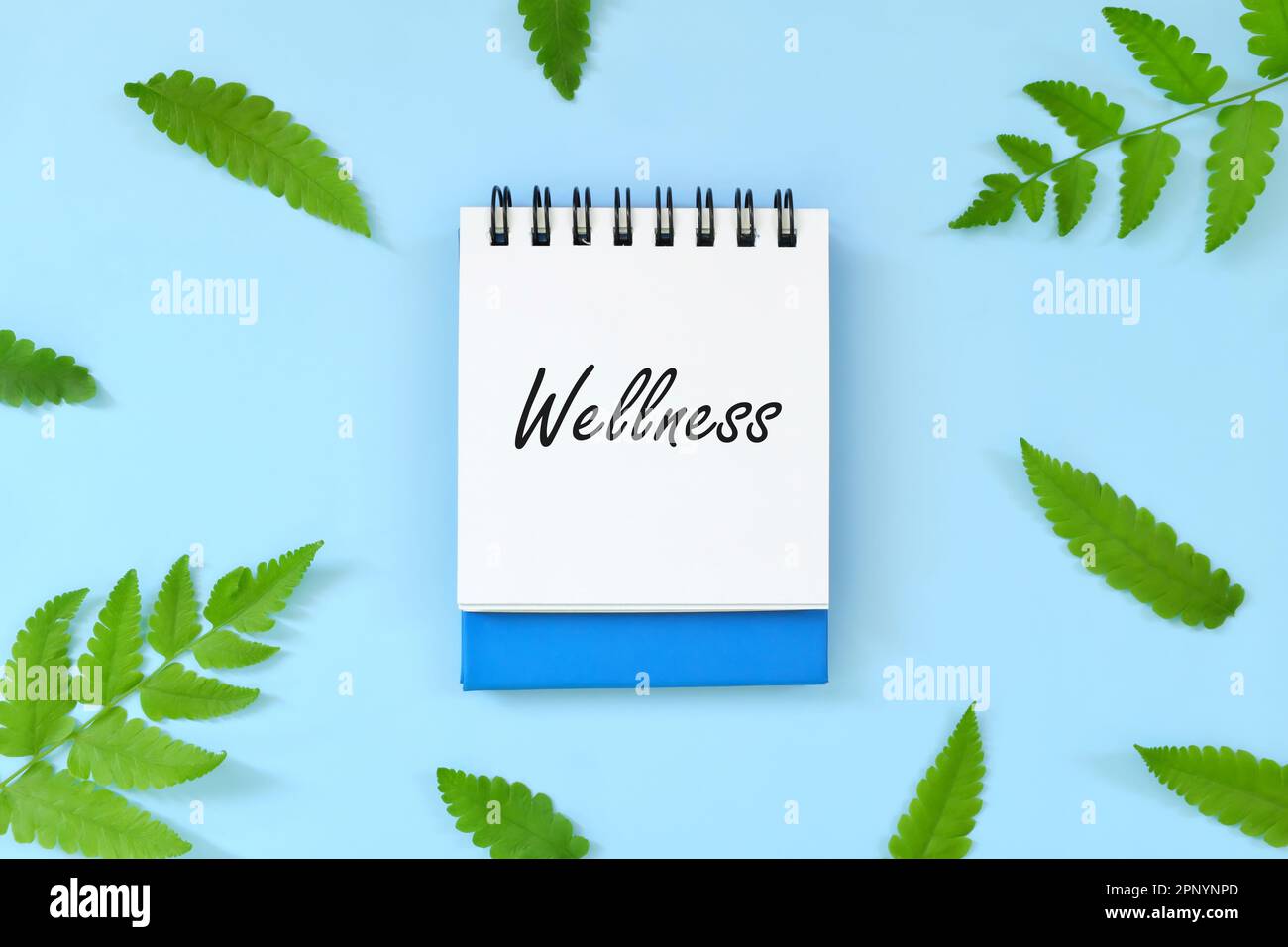 Wellness concept. Word written on blue notepad. Beautiful minimalist flat lay composition. Stock Photo