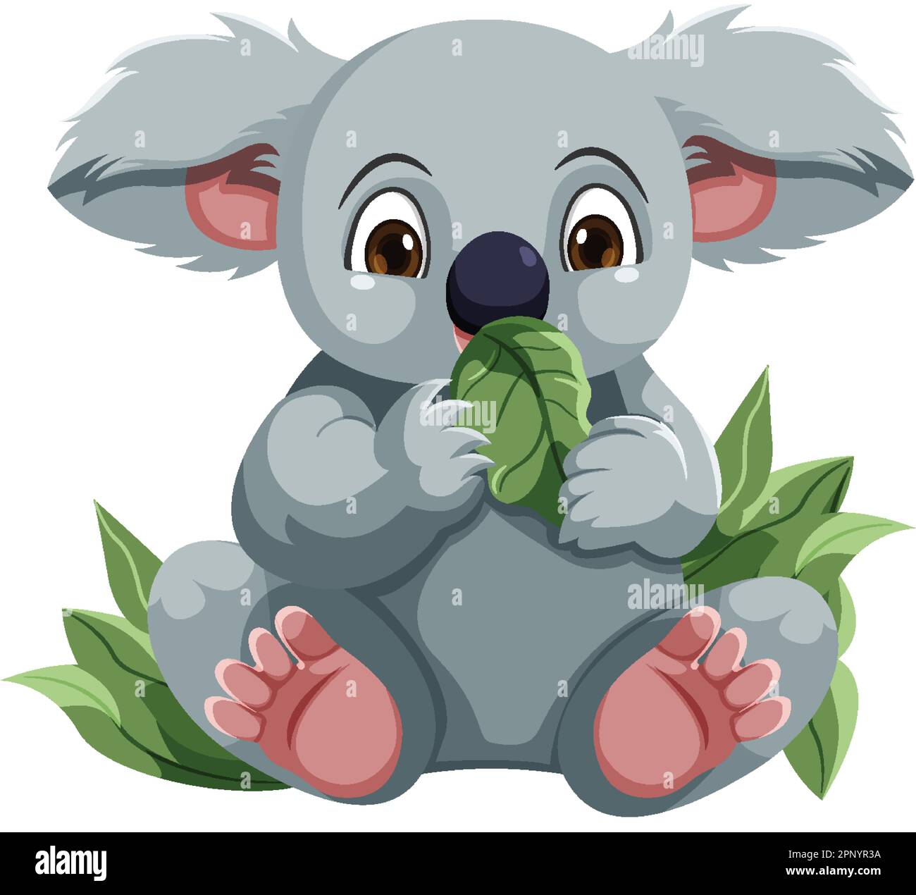 Cute koala cartoon character isolated illustration Stock Vector Image ...