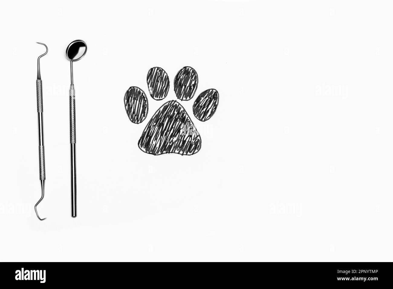 A dog paw print with vet tools on white background, veterinarian and animal clinic Stock Photo