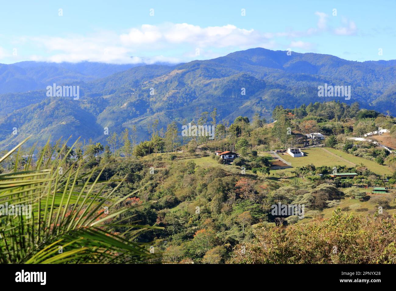 the Landscape near in Paraiso around Orosi Valley near the city of