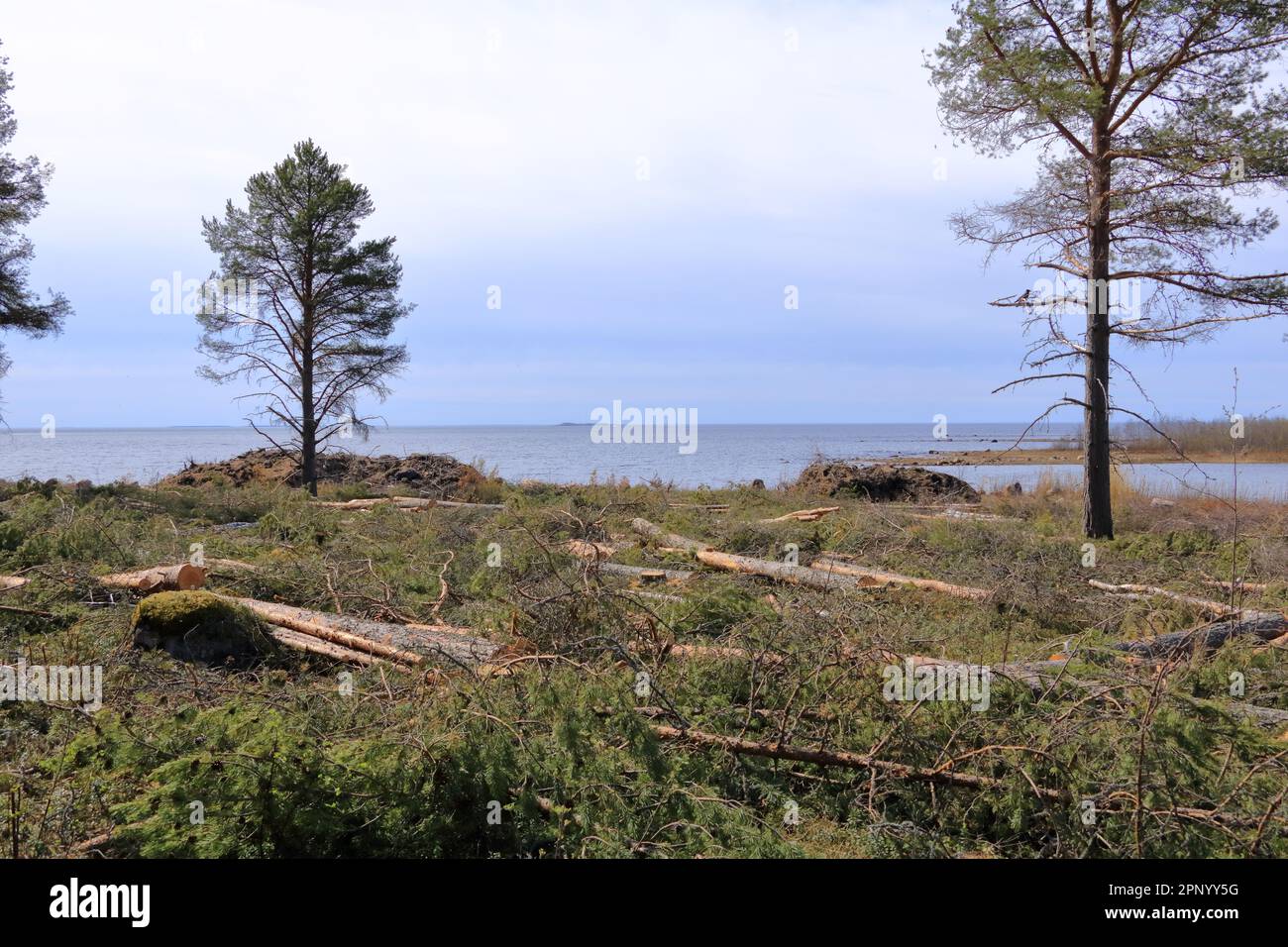 picturesque coastal landscape on the Baltic Sea near Merihelmi in Finland Stock Photo