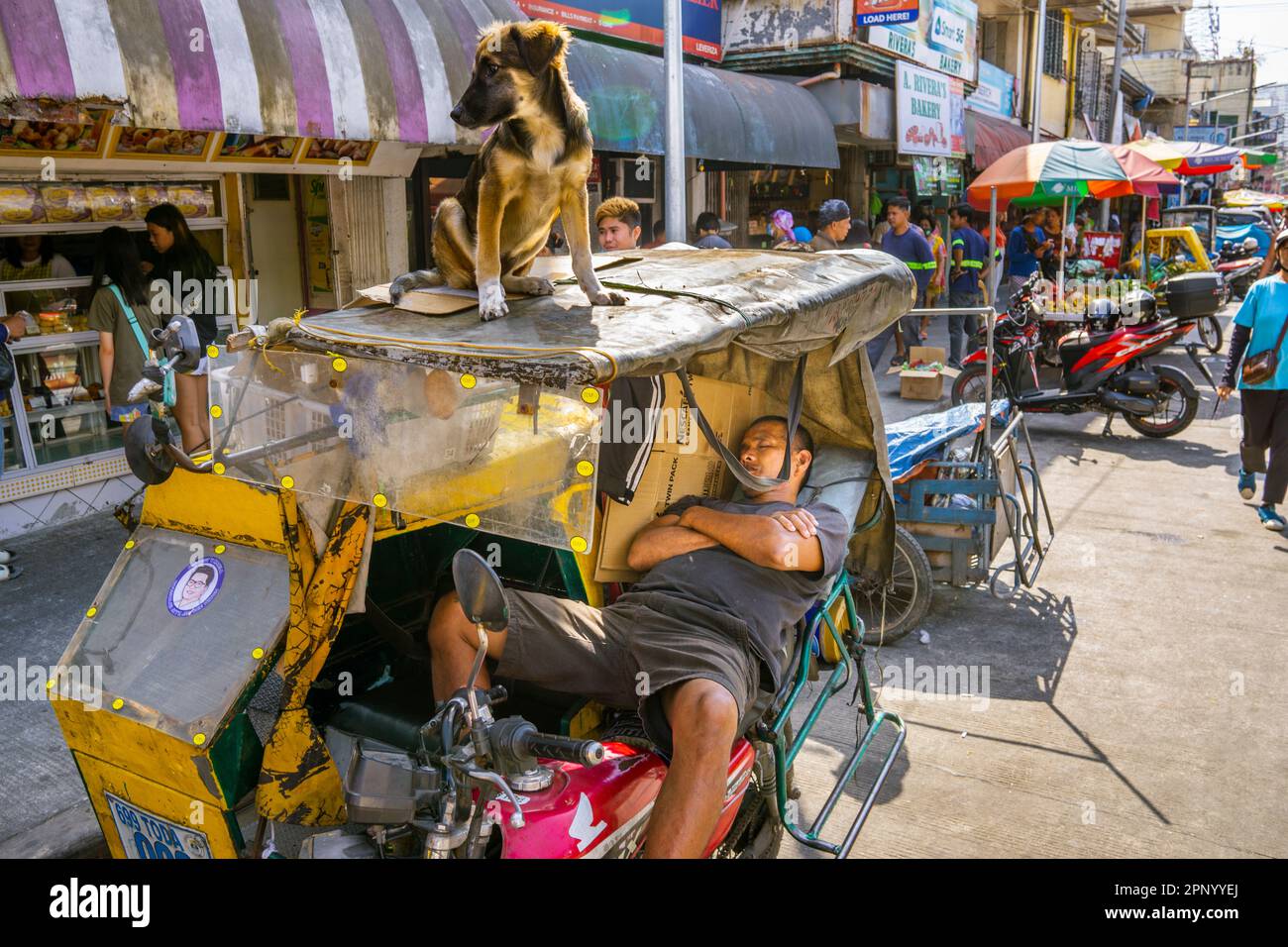 Tuk Tuk , driver sleeping in taxi cab, as dog stands guard on the roof.  Street scenes in the capital of Manila, Philippines. The area known as Intram Stock Photo