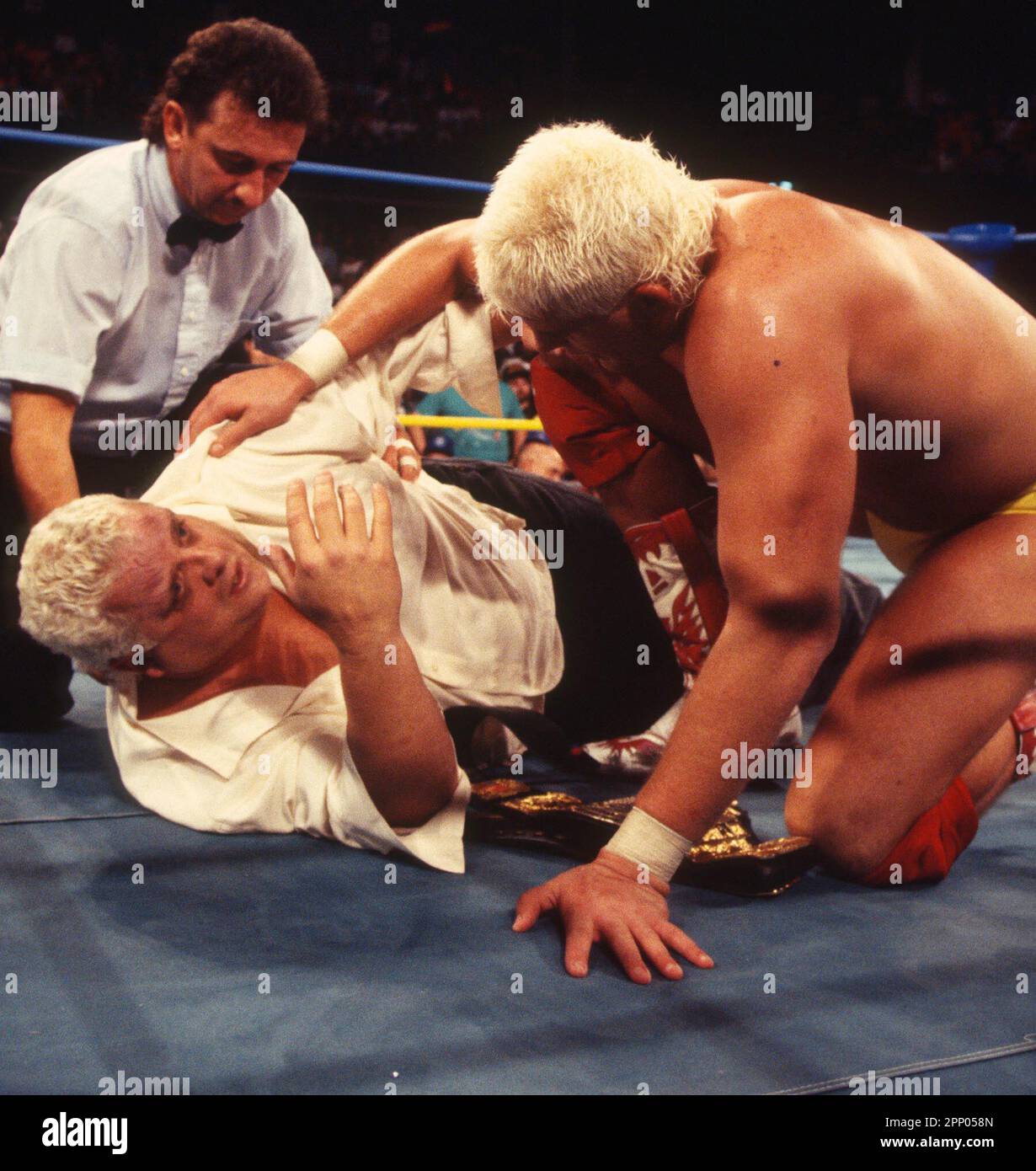 1993 Dusty Rhodes Dustin Rhodes Photo by John Barrett/PHOTOlink Stock ...