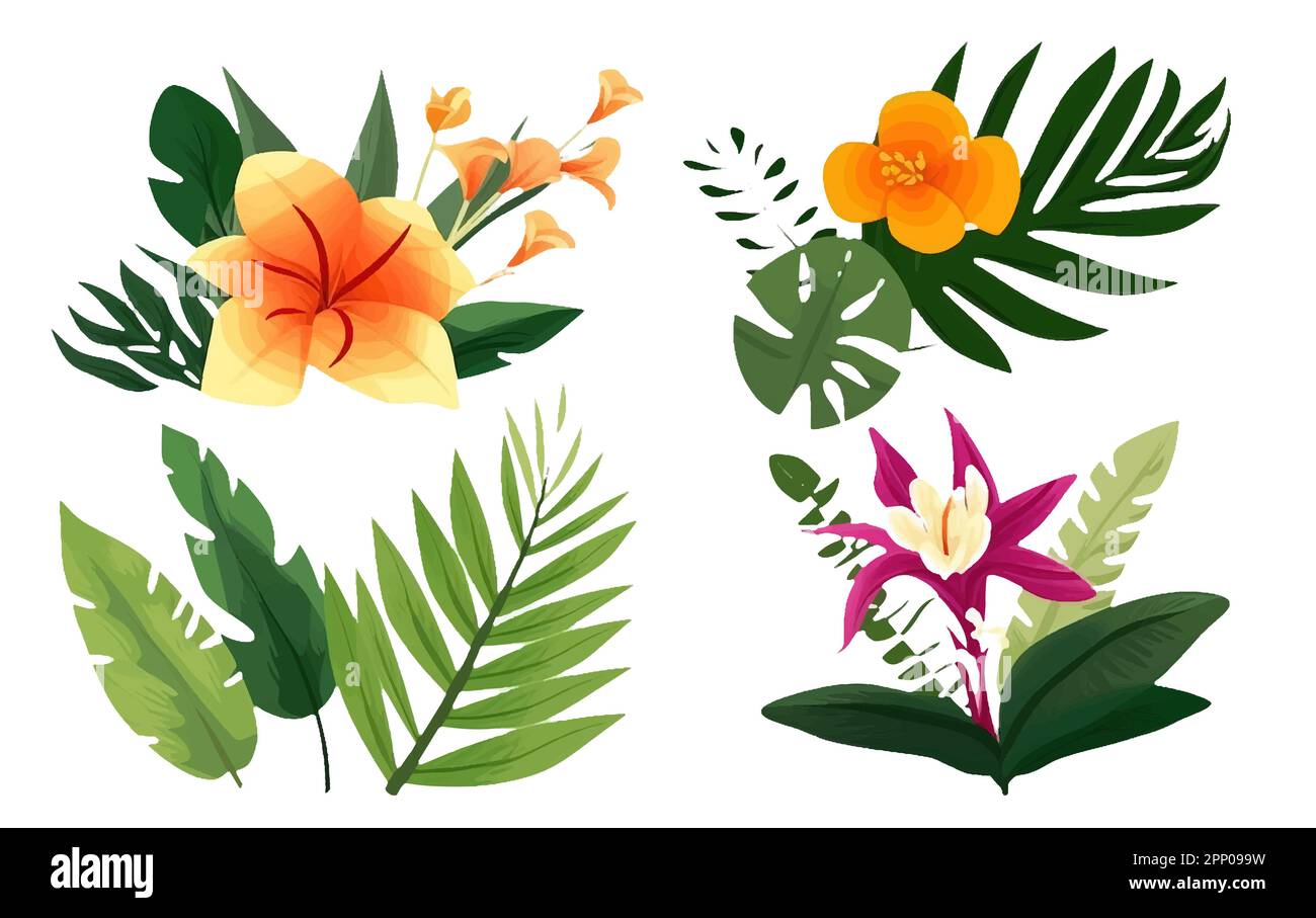 set vector illustraion of tropical leaves and flowers isolated on white ...