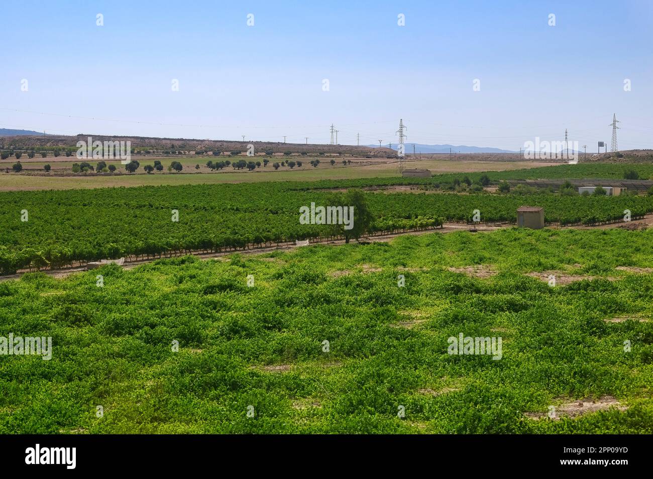 Spanish agriculture field with no people Stock Photo