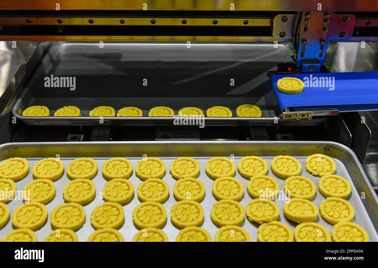 Automatic golden nut snacks production line on conveyor belt equipment machinery in factory, industrial food production. Stock Photo