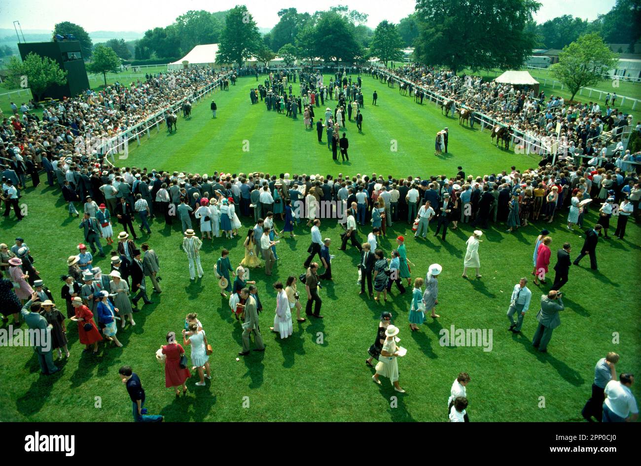 The Paddock at The Epsom Derby in 1985 Stock Photo Alamy