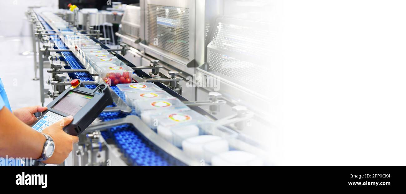 Manager check and control automation Food products boxs transfer on Automated conveyor systems in factory, copy space Stock Photo