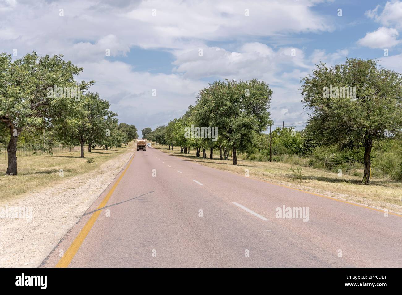 landscape with little traffic on R40 tree-lined road in countryside near Timbavati, shot in bright summer light , Mpumalanga, South Africa Stock Photo