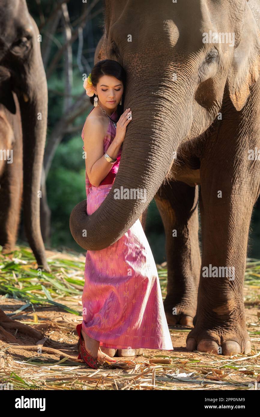 Pretty girl in traditional thai costumes in elephant's trunk hug with love  Stock Photo - Alamy, image size:866x1390