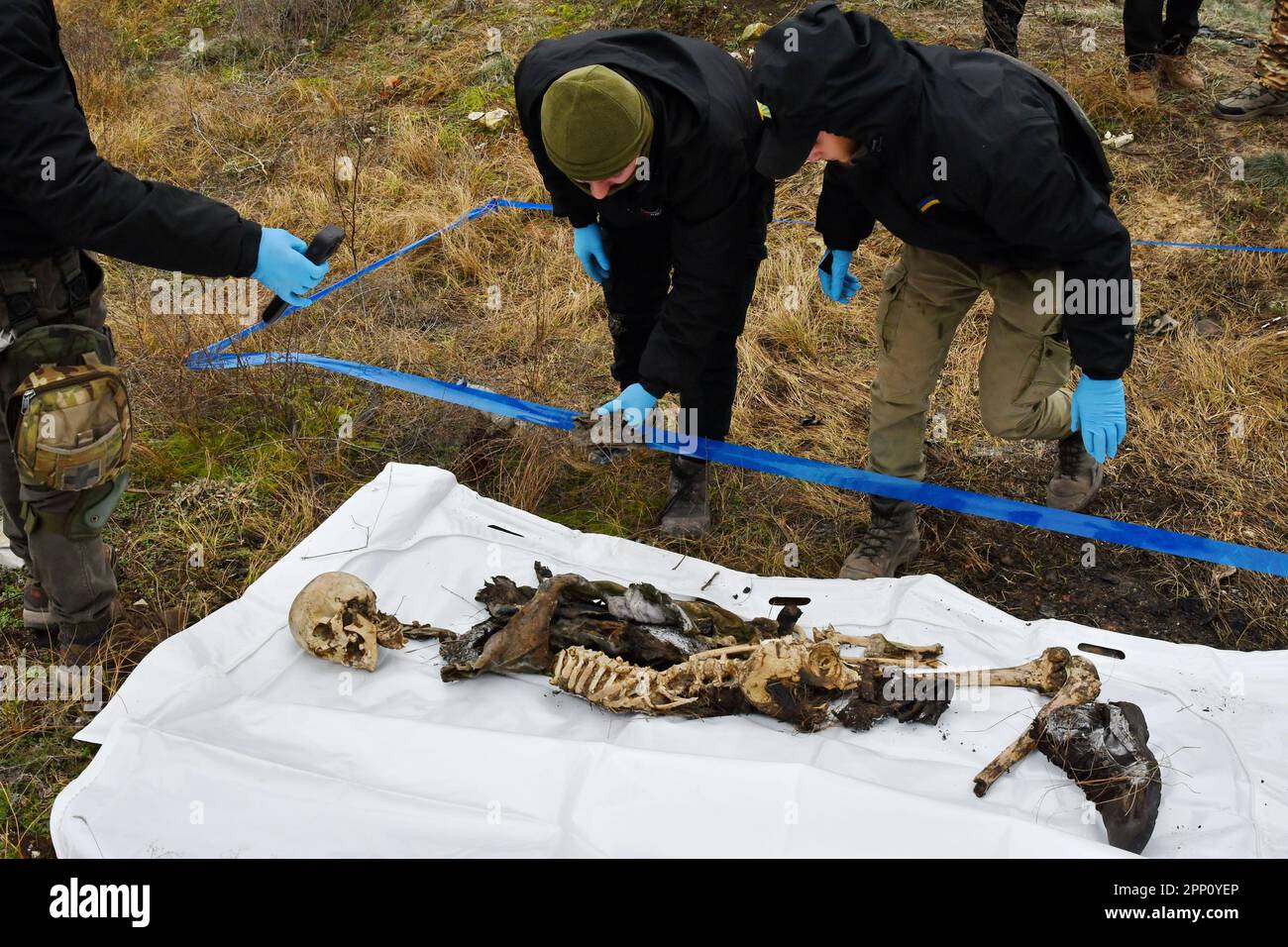 Gey jinsiy aloqa porno