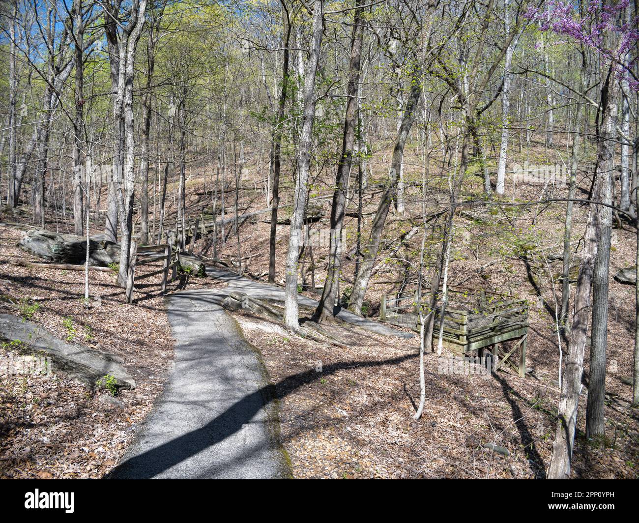 Hickory Ridge Trail at Powder Valley Conservation Nature Center Stock