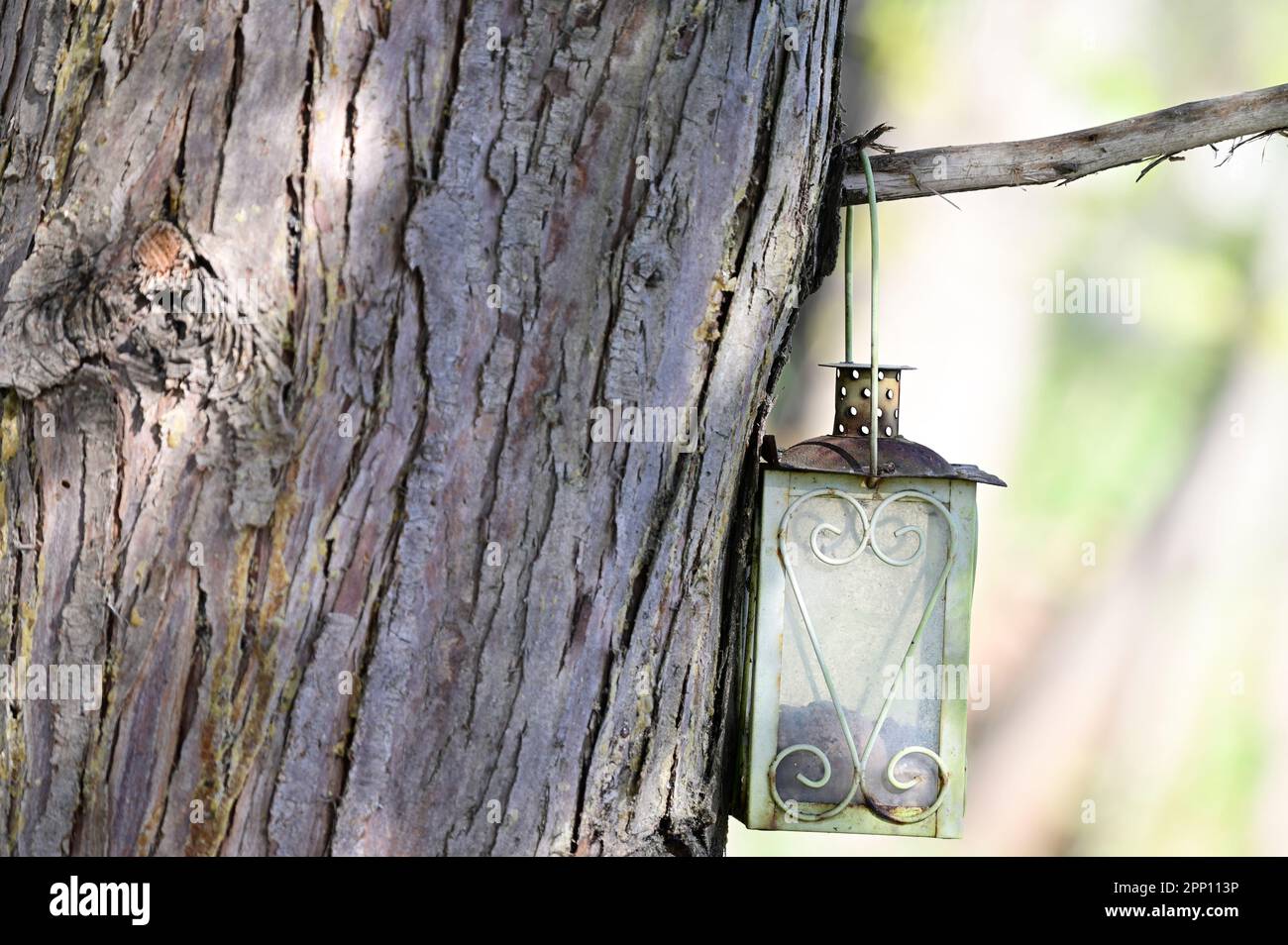 Vienna, Austria. Vienna Central Cemetery. Grave lantern hangs on a tree in the Central Cemetery Stock Photo