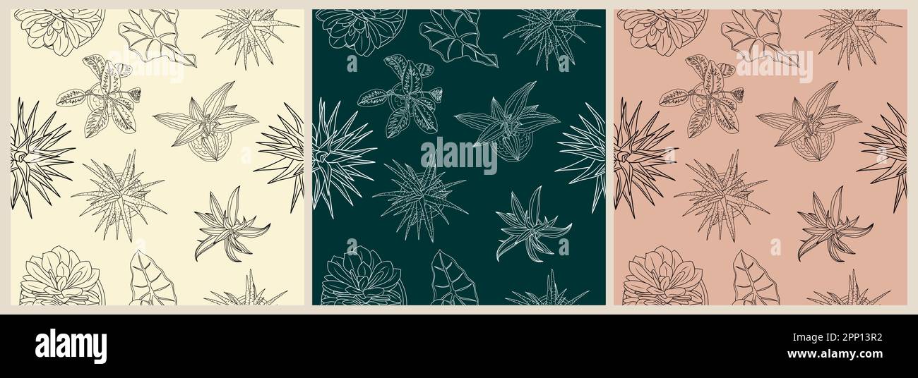 House plants seamless pattern top view line art Stock Vector Image ...